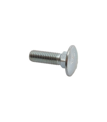 Saucer-head screw - galvanized