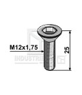 M12 x 25 Insex 8.8