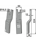 Rotary tine, right model