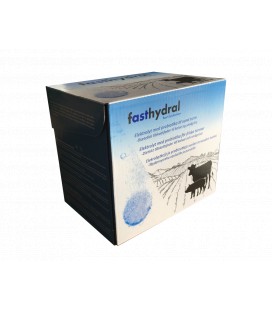 FASTHYDRAL 42 tabl/fpk