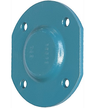 Cap piece of the bearing