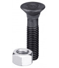 Plough bolt DIN 608 M12 x 1,75 x 55 with hexagon nut
