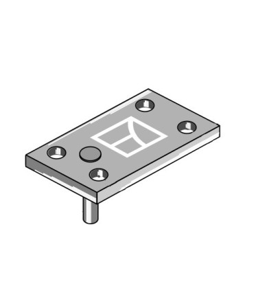 Ledger plate with pin