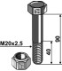 Bolt with self-locking nut - M20 - 10.9