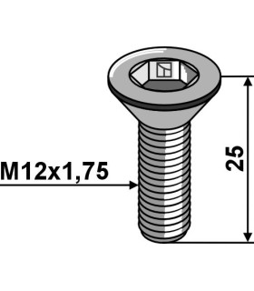 M12 x 25 Insex 8.8