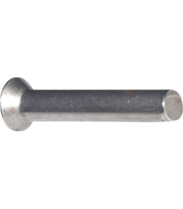 Countersunk rivet for seed share