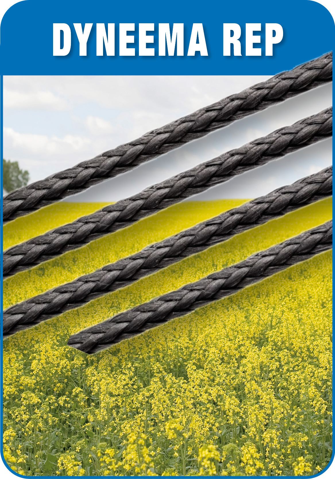 Dyneema